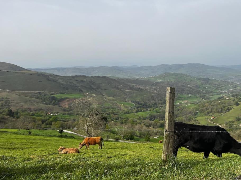 ESPECTACULAR Apartamento en el Centro de Cantabria