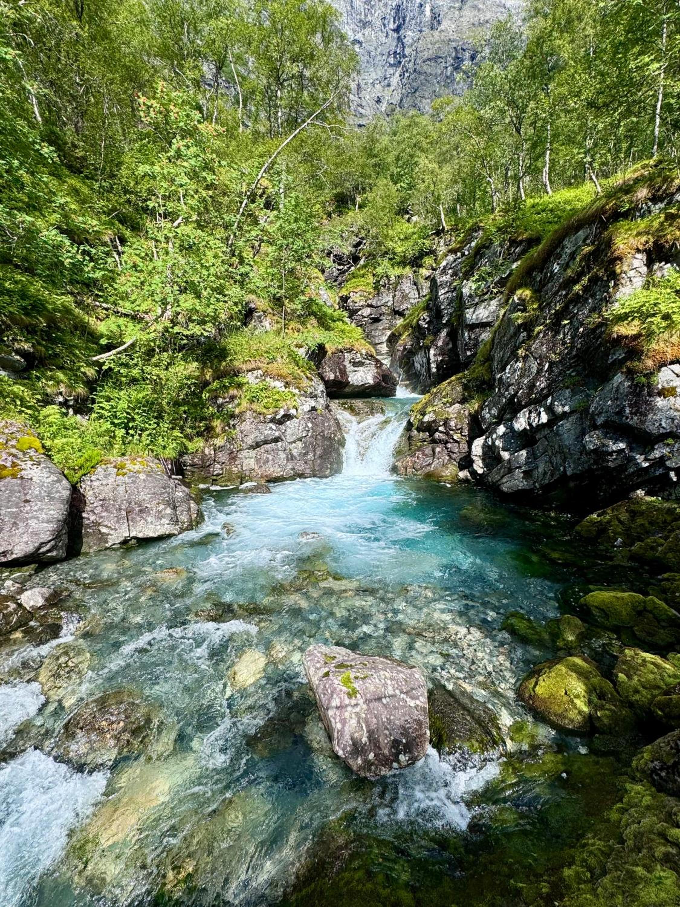 Photo 20