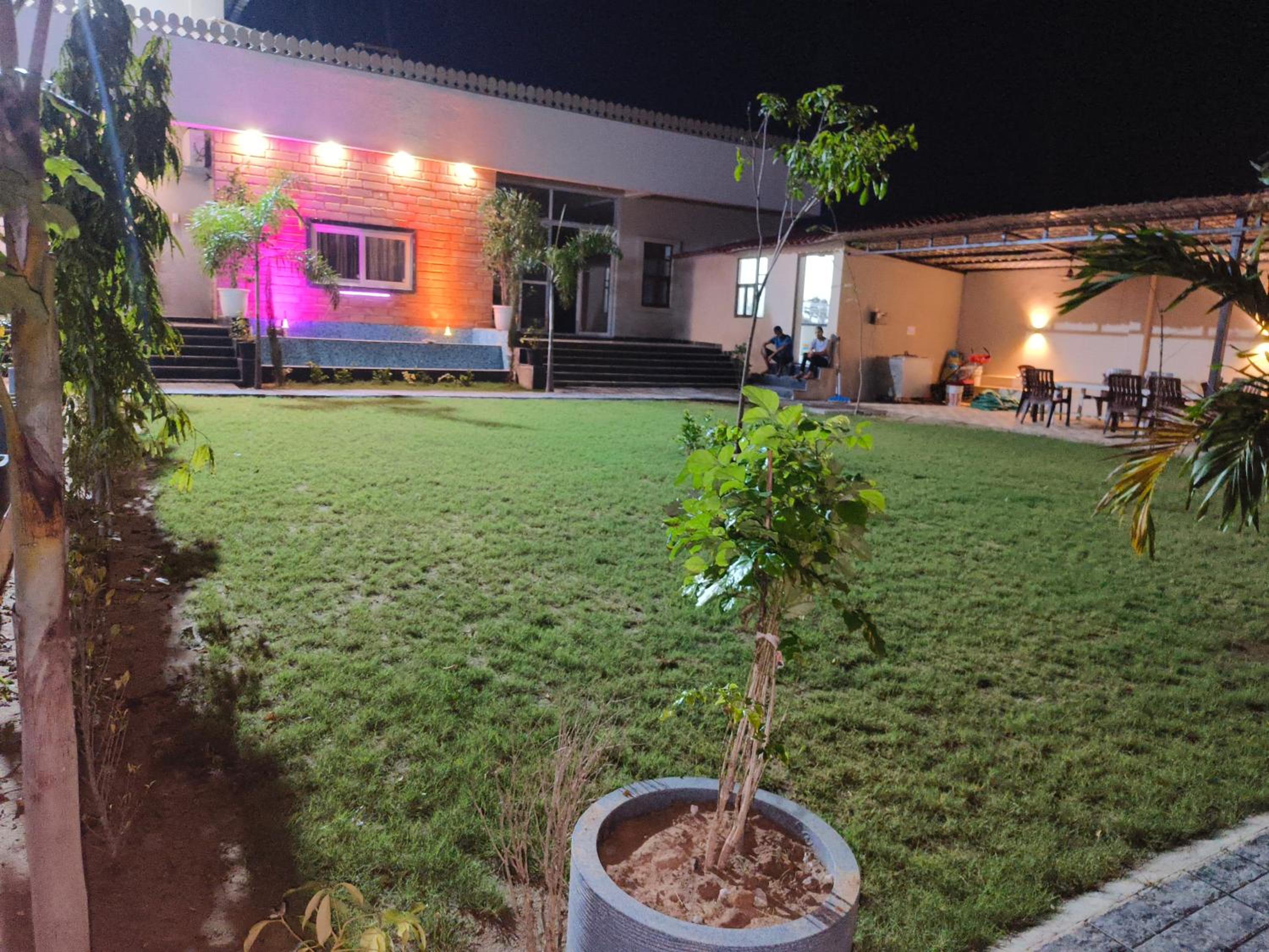 Photo 11