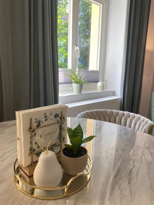 Dresden Vacations - Modernes Apartment mit groer Terrasse - Property Image 2