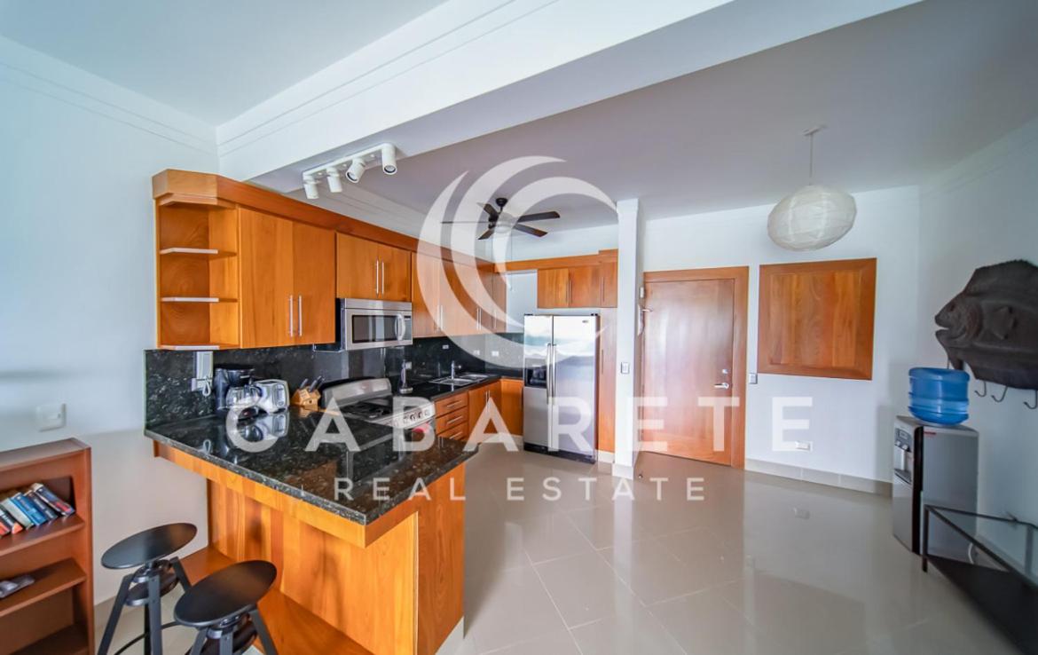 Beachfront penthouse, in Cabarete Bay, Center