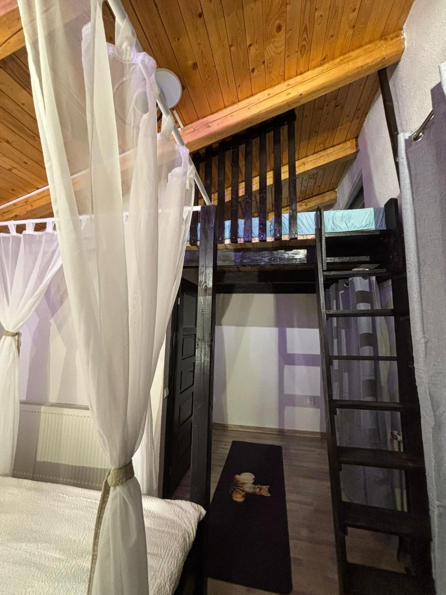 Cabana Apuseni