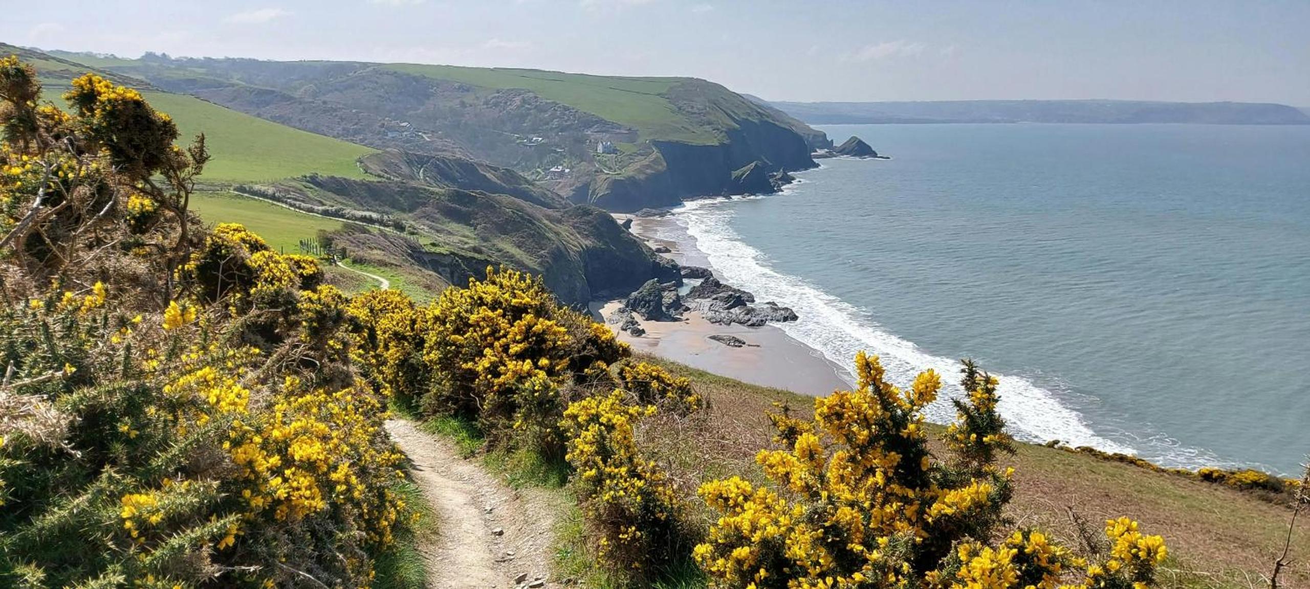 Yr Hal Llangrannog