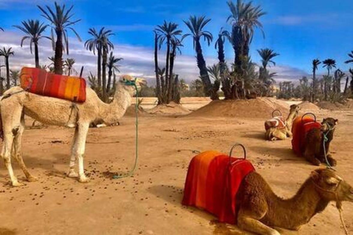 Marrakech Royal Luxury Résidence