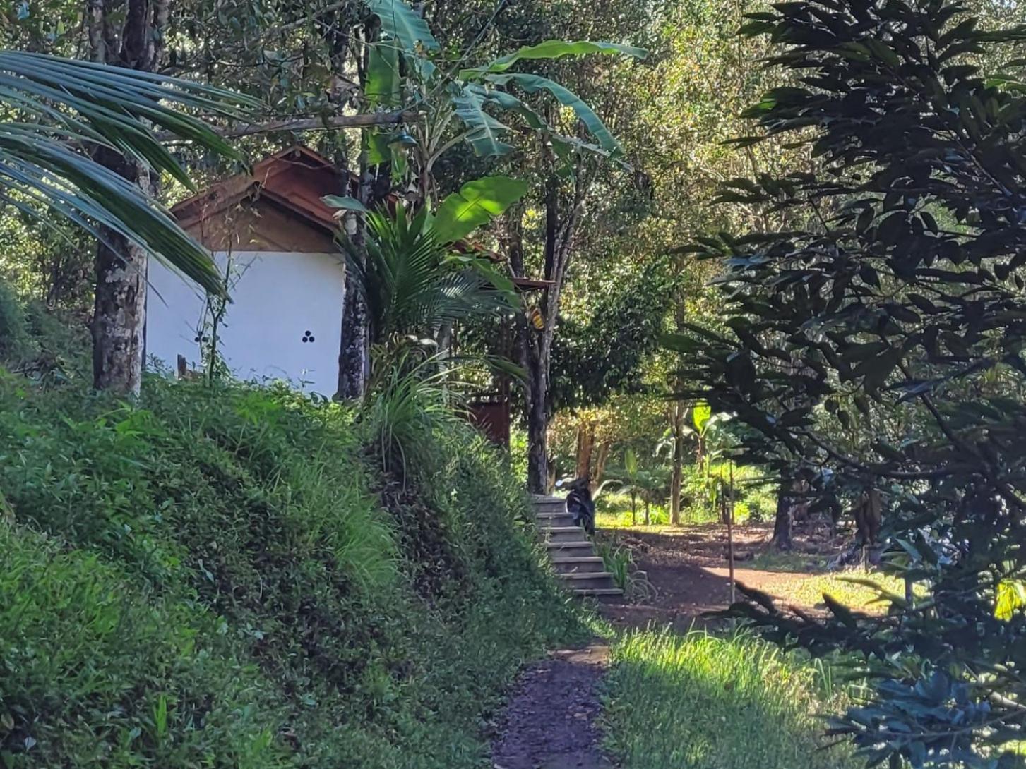 D'Langun Bali