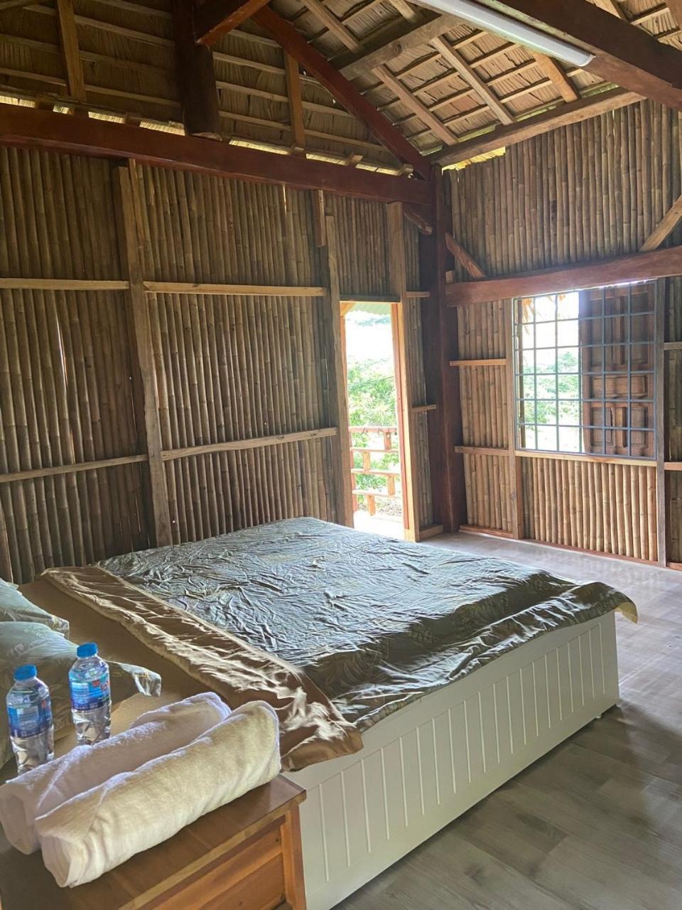 Gạo hạt dẻ homestay