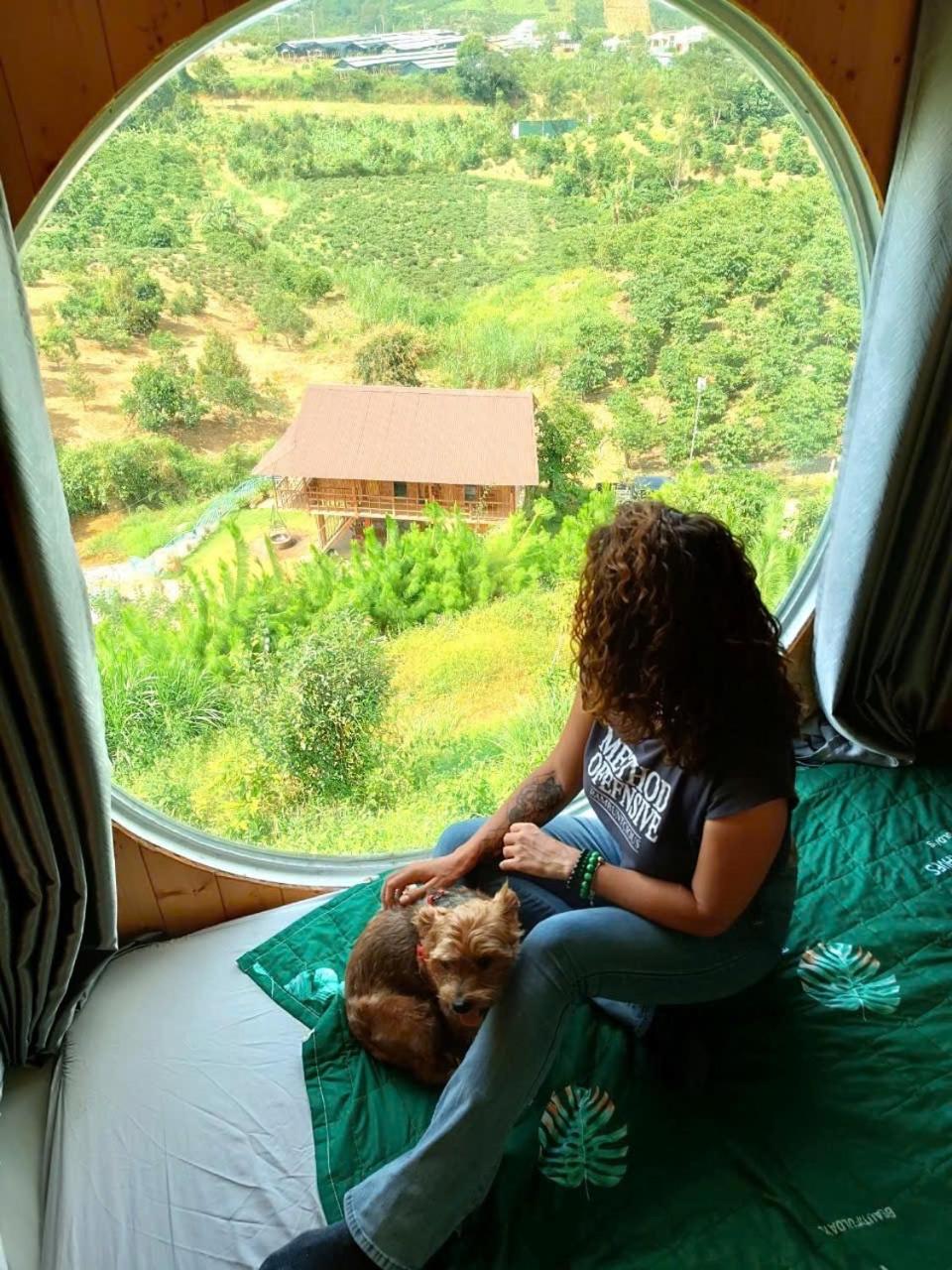 Gạo hạt dẻ homestay