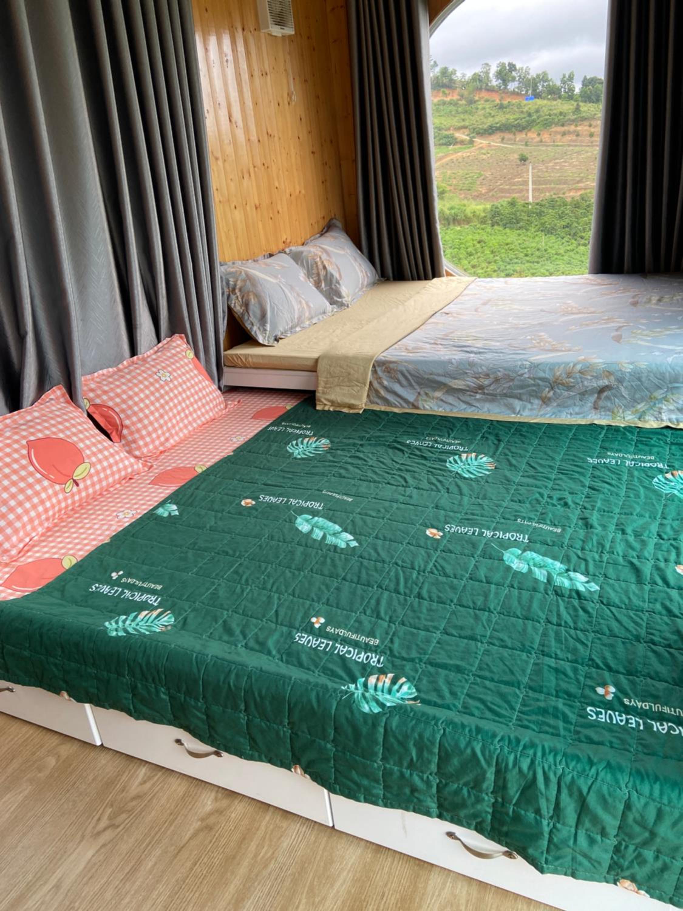 Gạo hạt dẻ homestay