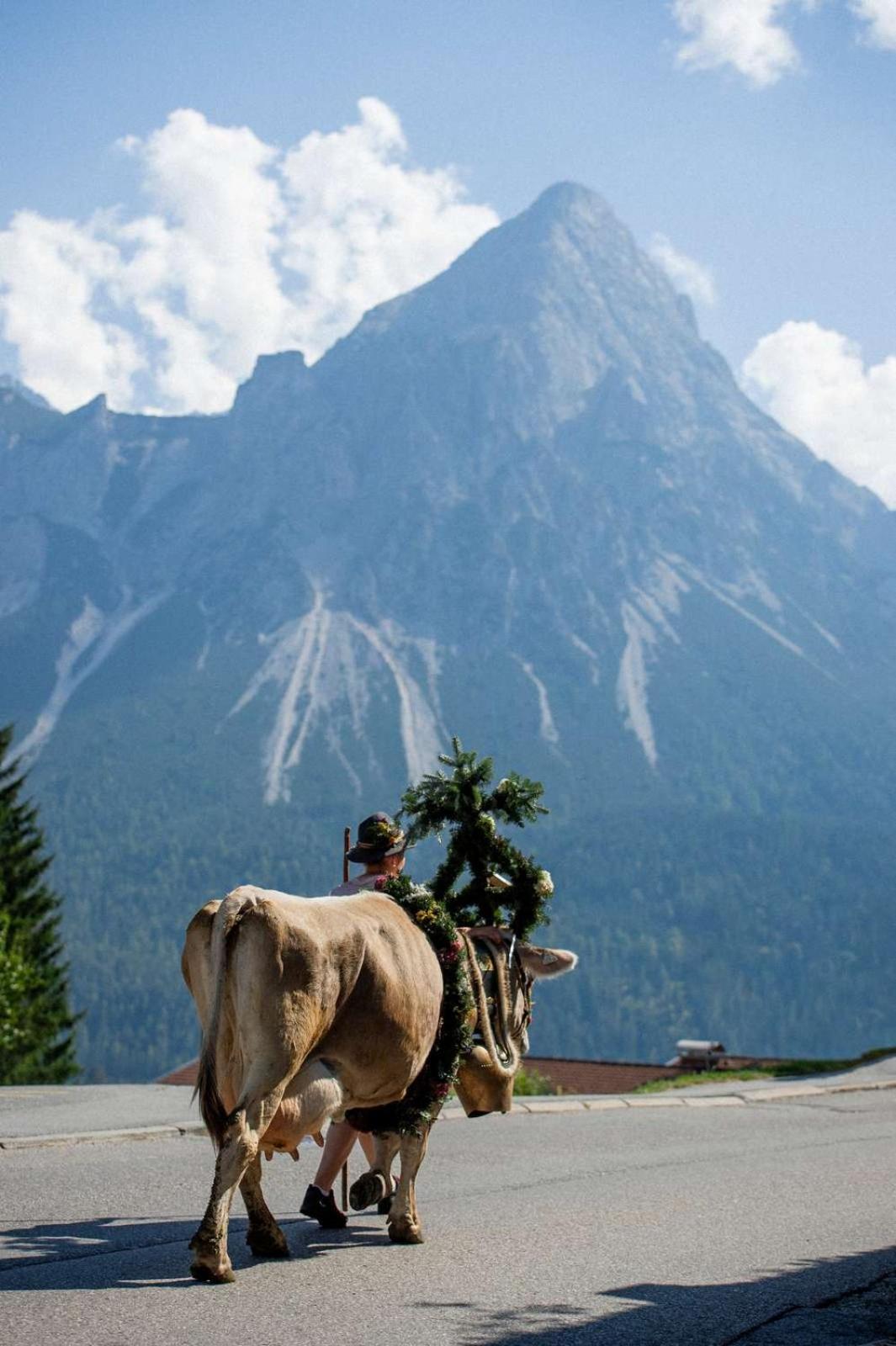 Zugspitz Suites Lermoos by ALPS RESORTS