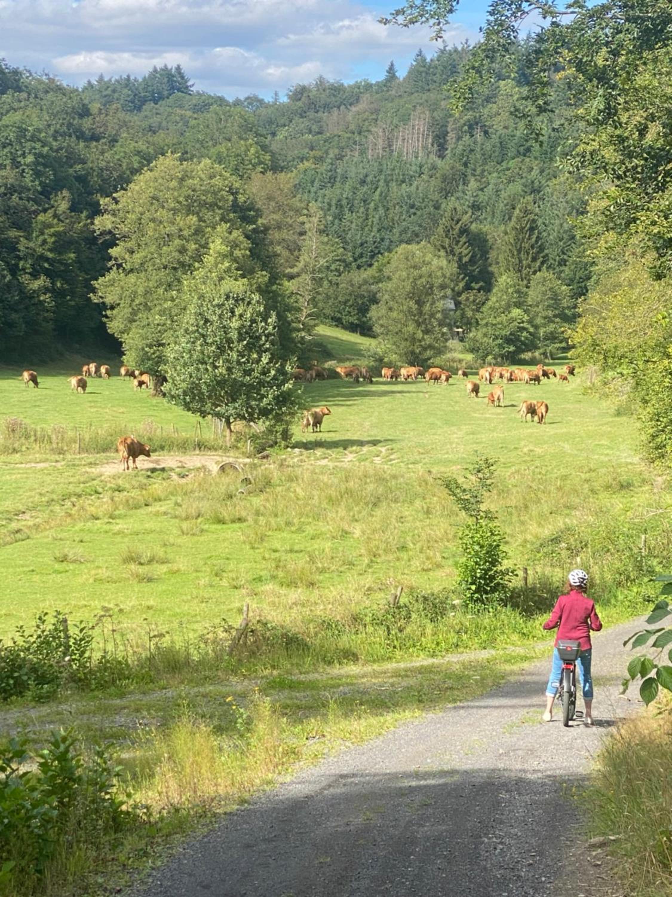Ferienwohnung Stähbachtal