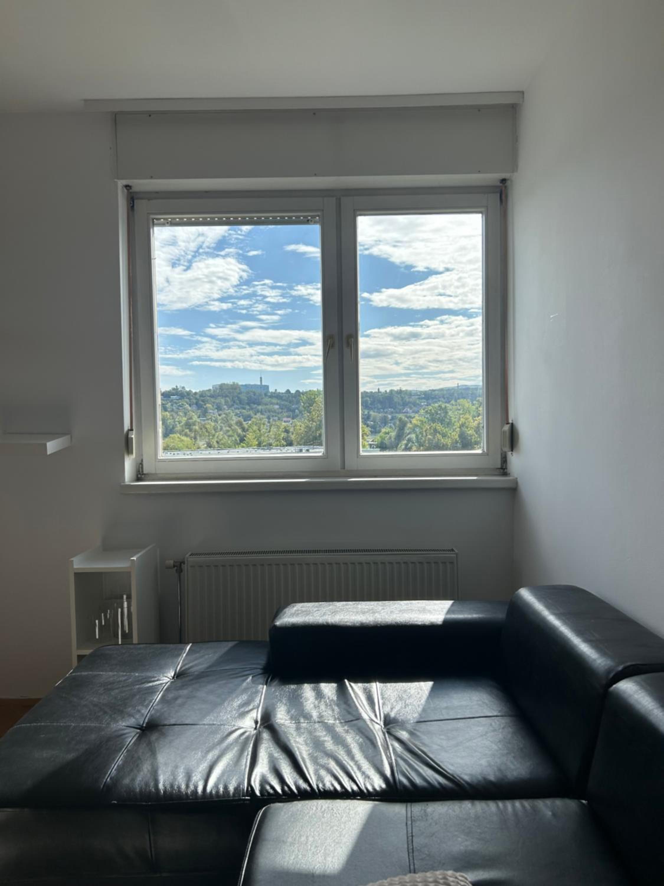 Danube View view 5