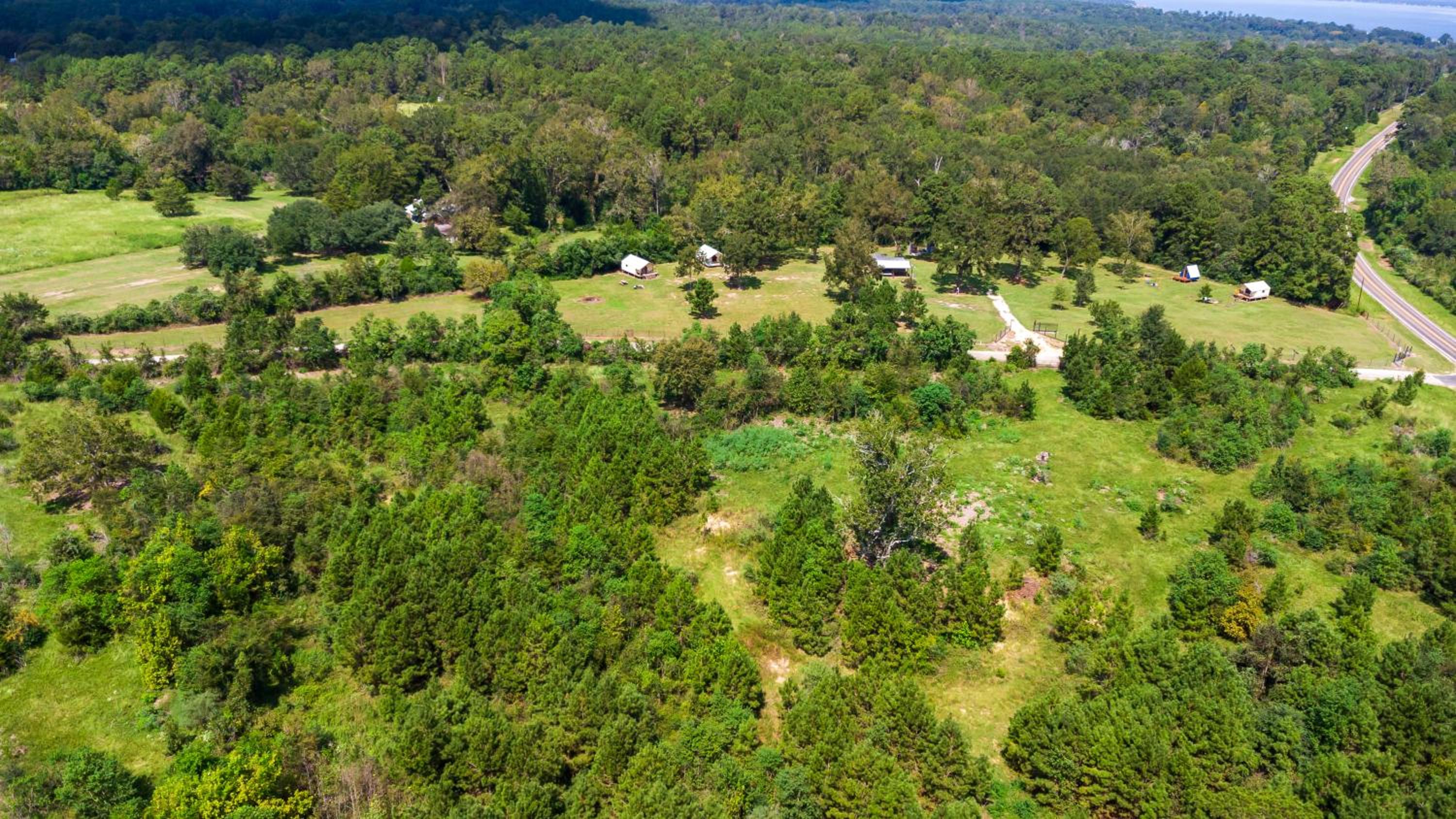 Cozy Forest Retreat near Sam Houston National Park