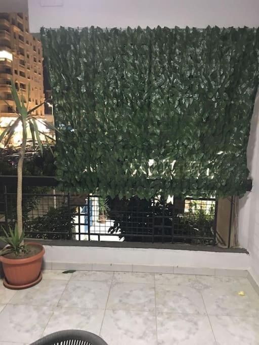 Cozy House, Nasr City, Airport