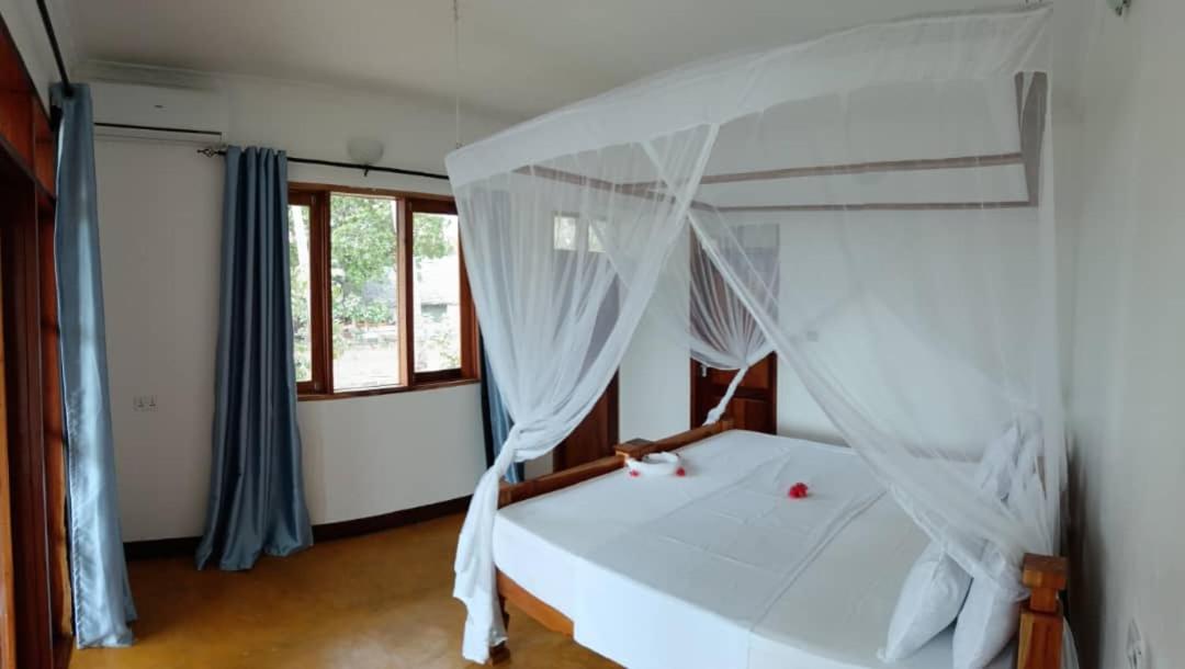 MAFIA TULIVU LODGE
