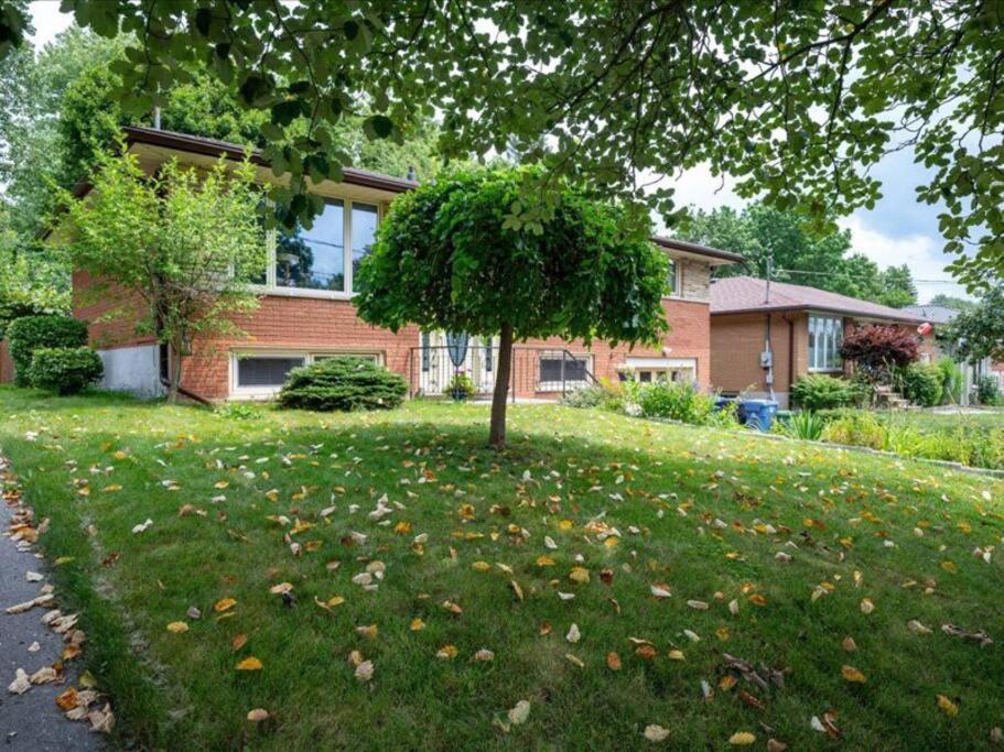 Guelph Vacations - Bright Modern 1 bedroom unit! - Property Image 15