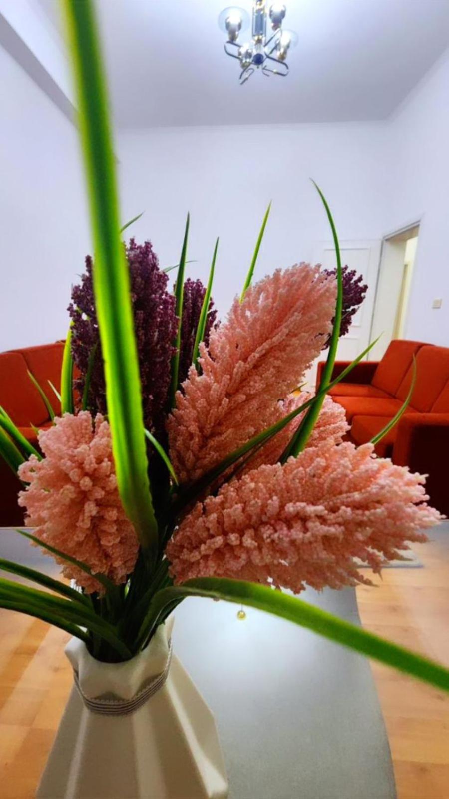 Royal Apartment