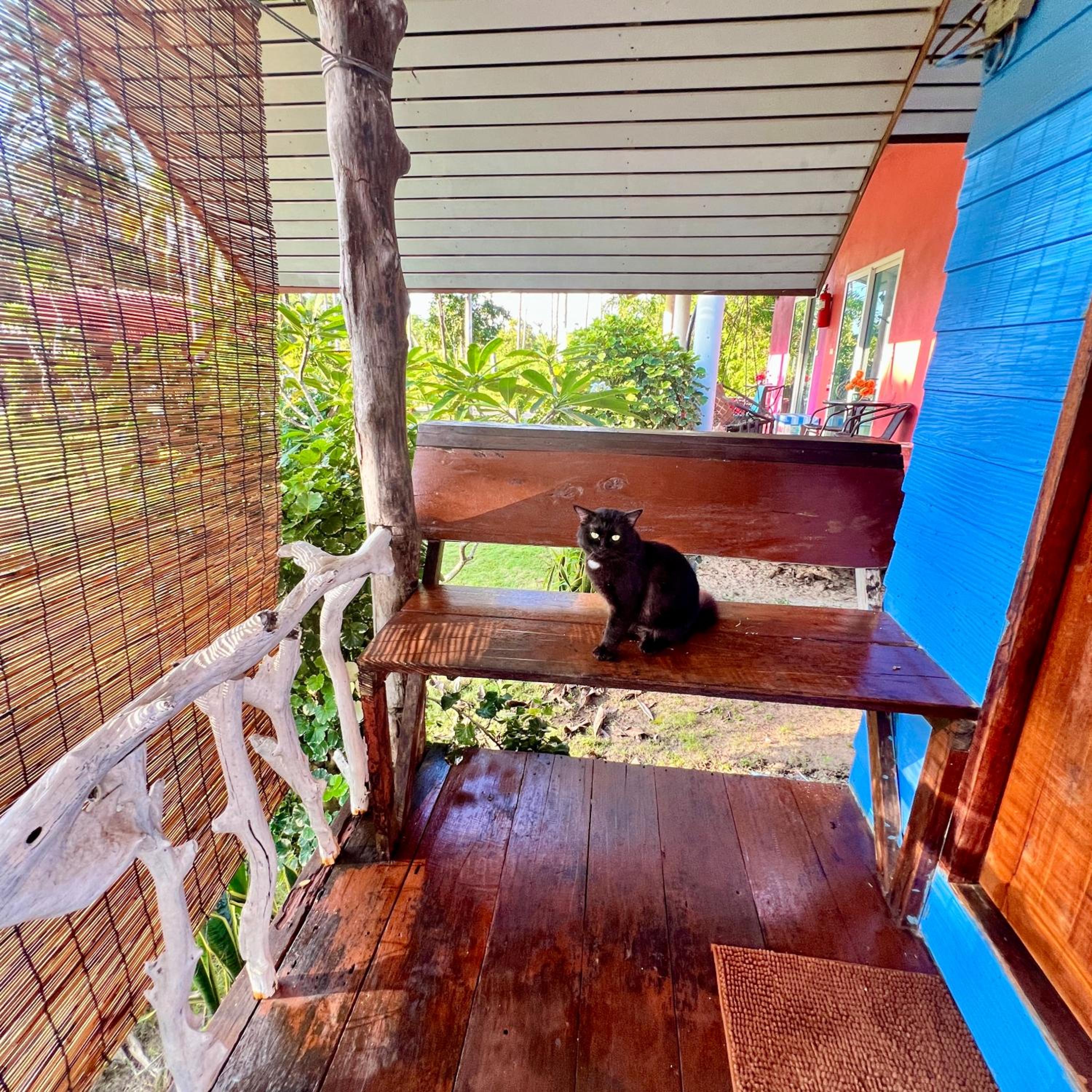 Lee Red House view 3