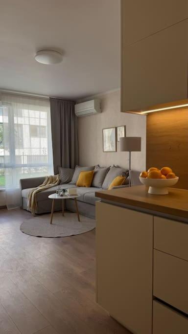 Inspire Your Stay Modern Apartment with Comfort and Style