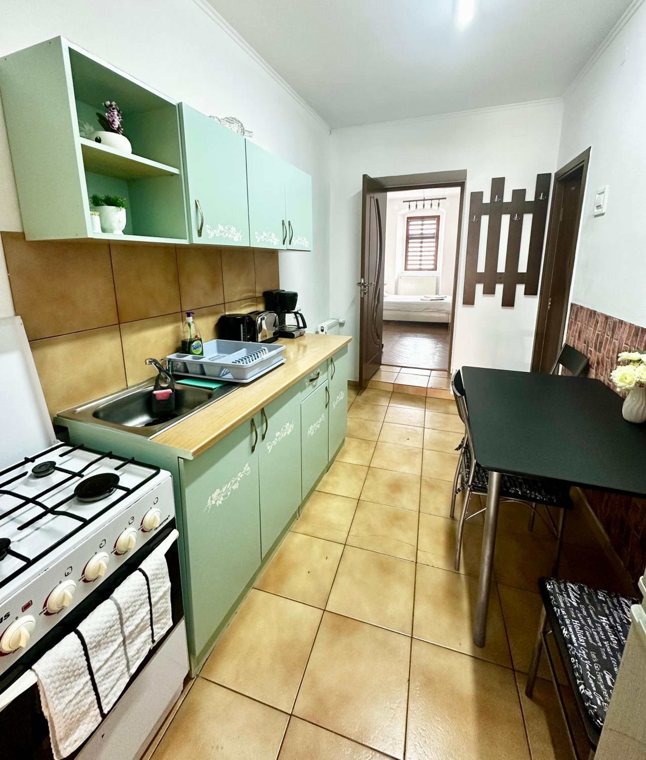 Studio Apartament Alex view 2
