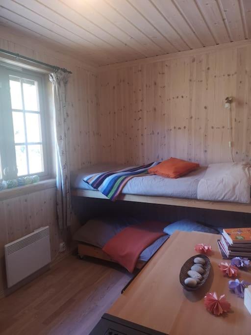 Høyfjellshytte