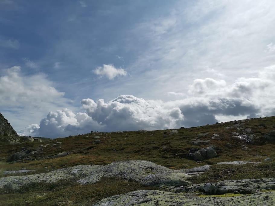 Høyfjellshytte
