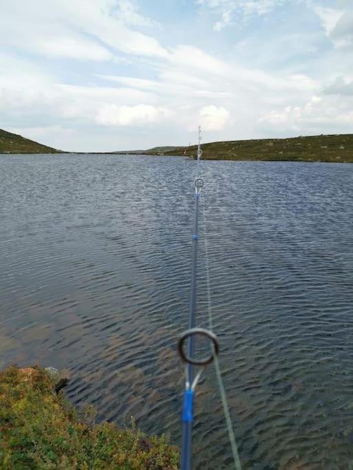 Høyfjellshytte