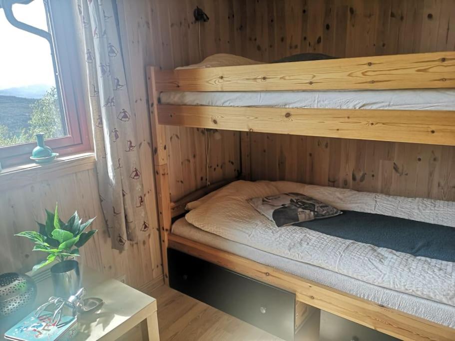 Høyfjellshytte