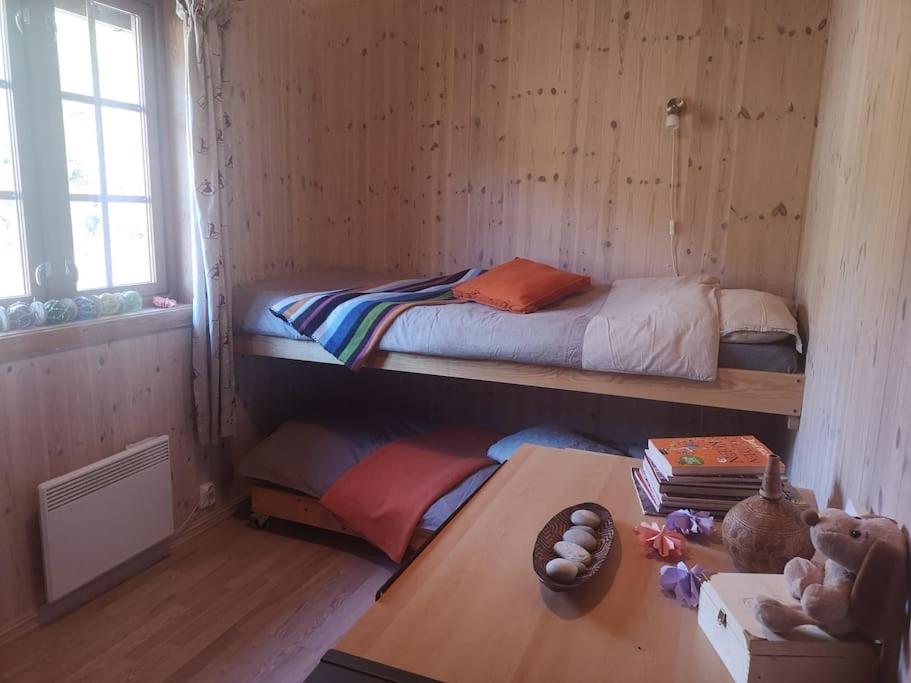 Høyfjellshytte