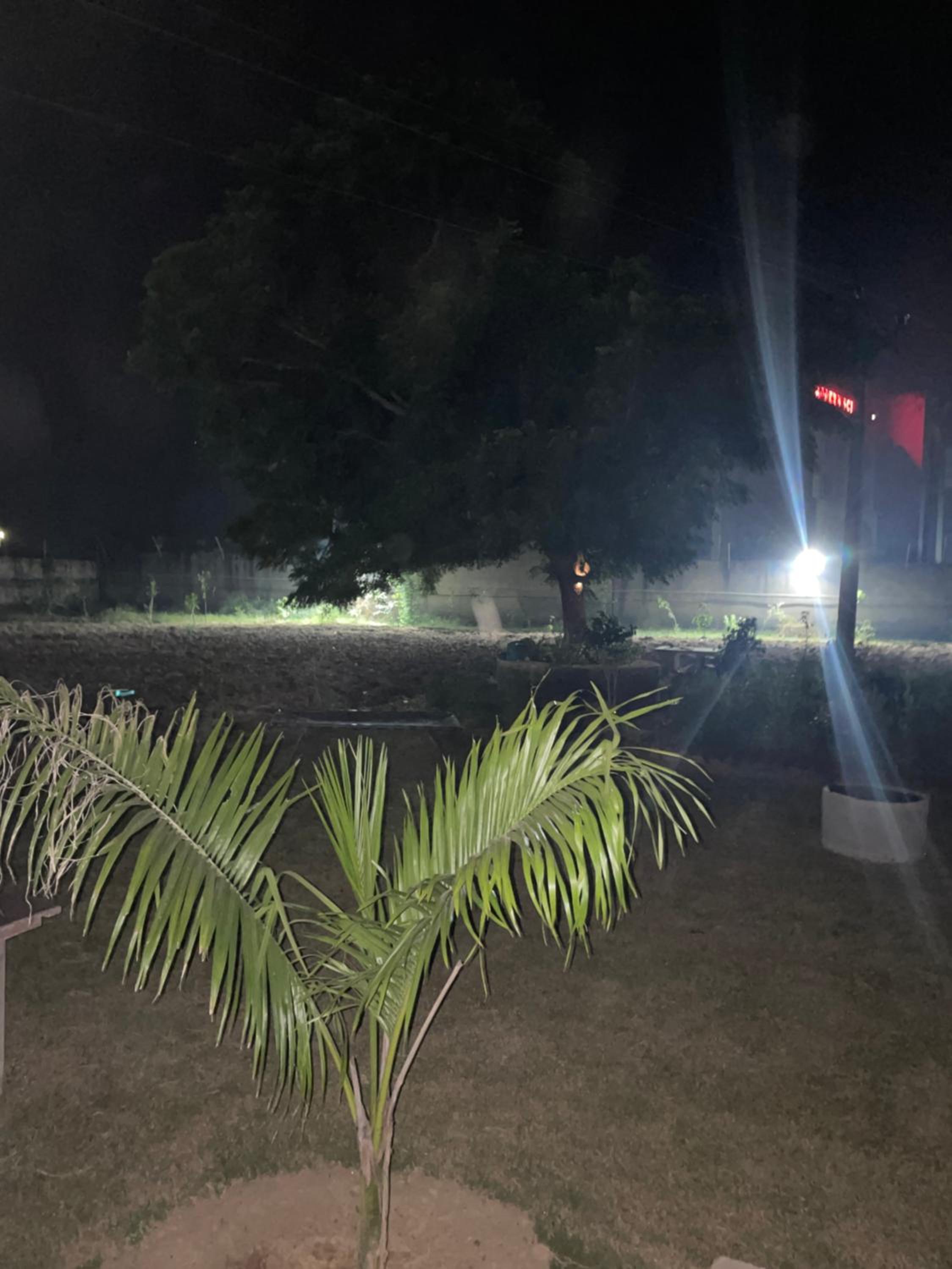 Painted stork farm stay view 2