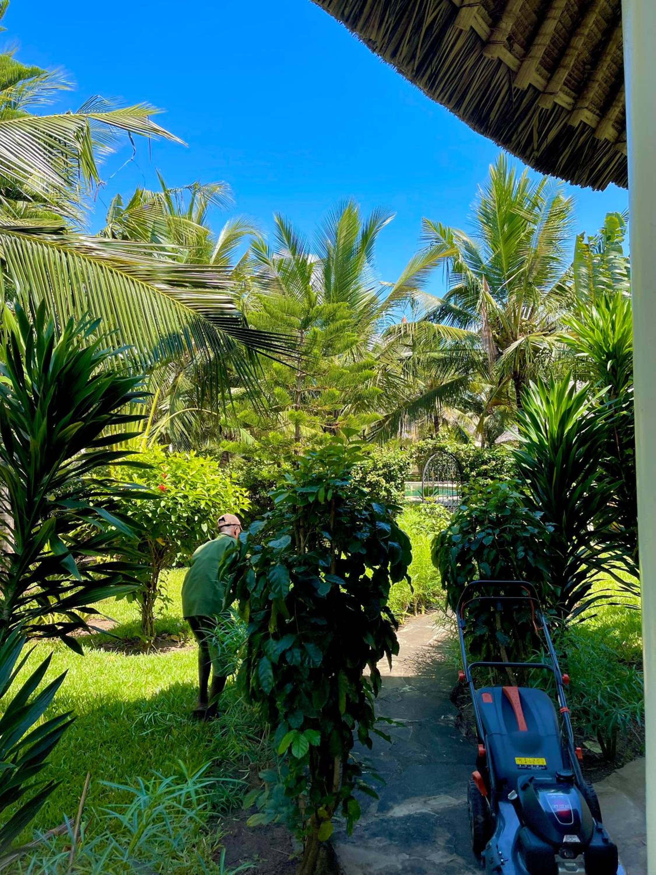 3 Bed Room private villa with pool