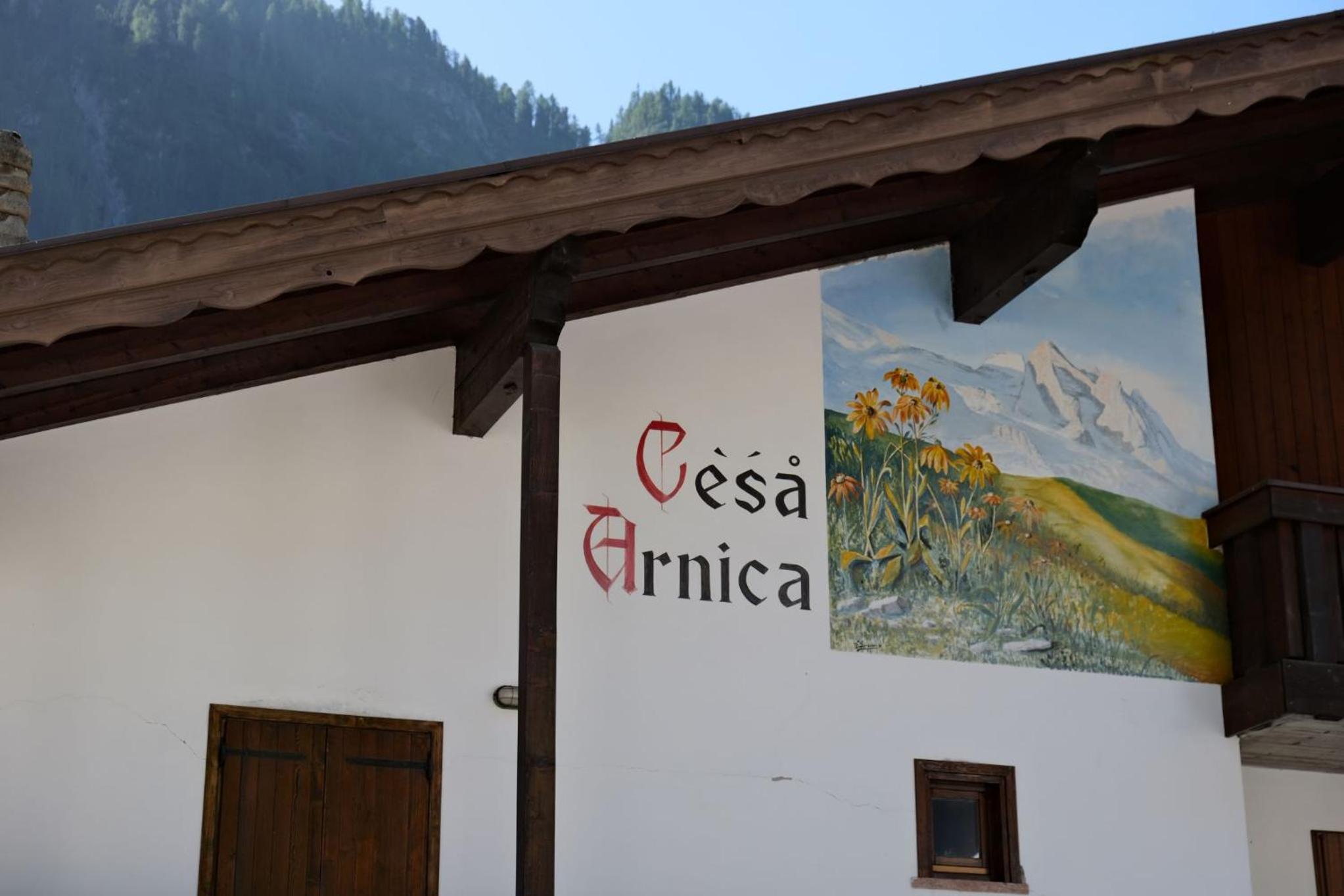 Residence Arnica