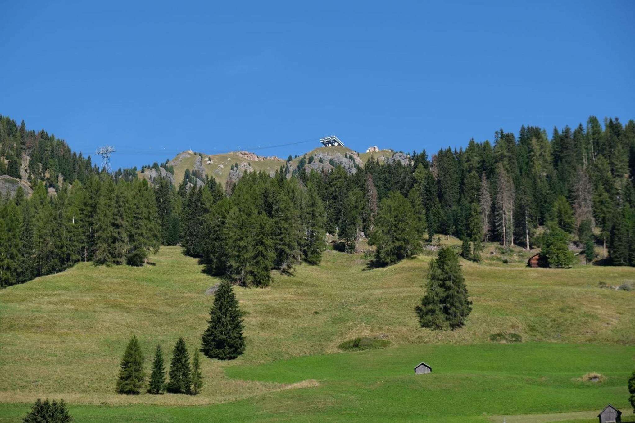 Residence Arnica