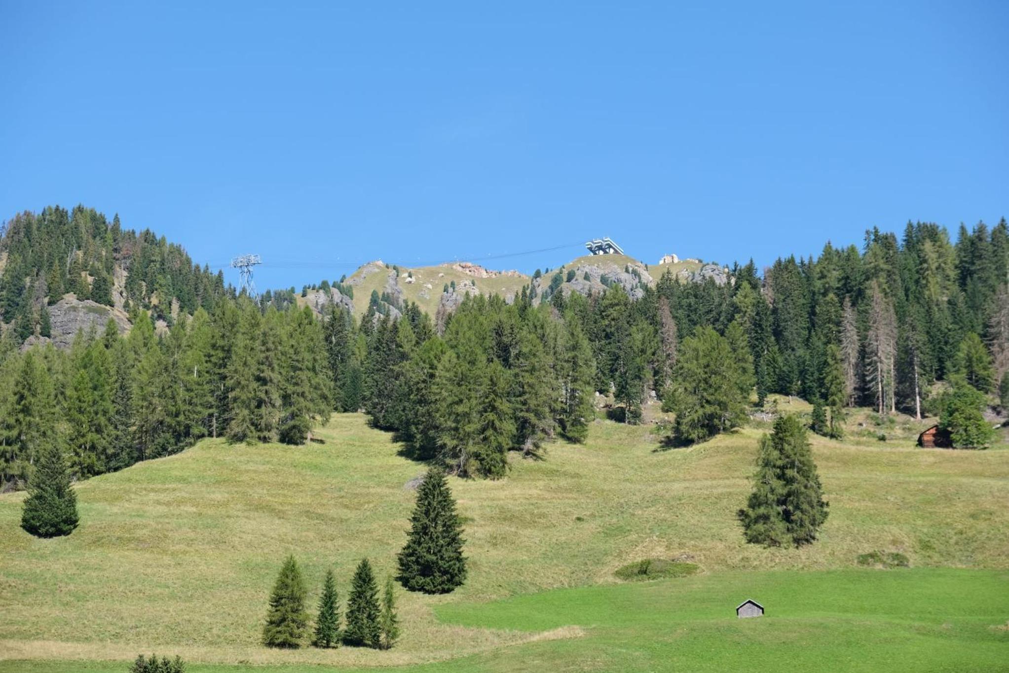 Residence Arnica