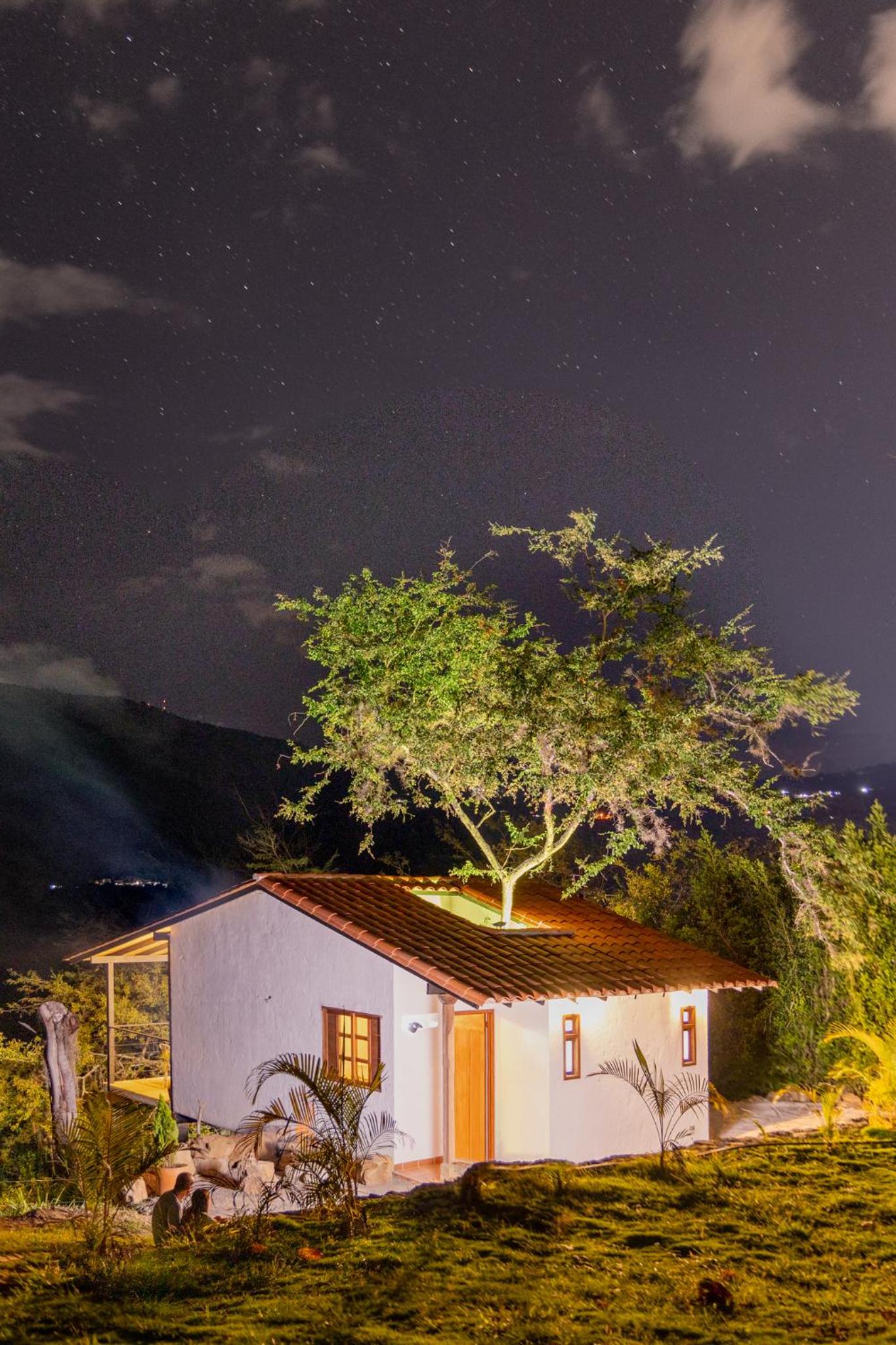 Cabaña Brown