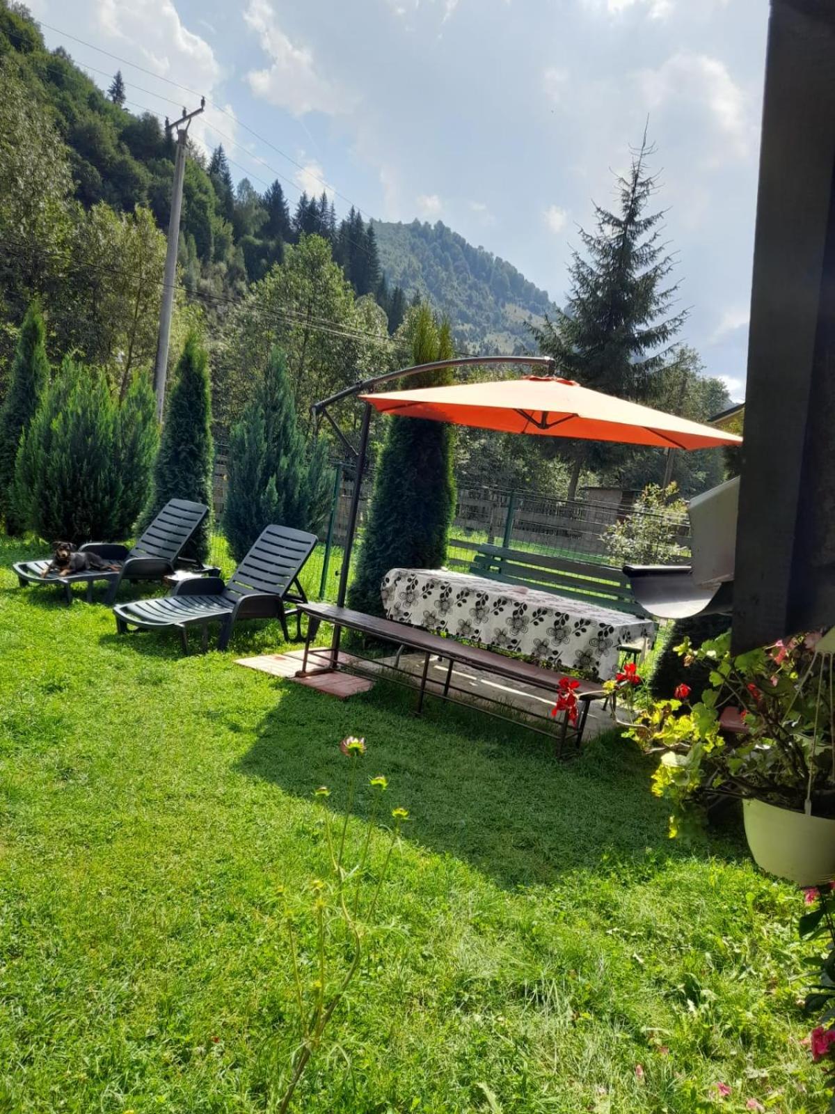 Casa IRISS