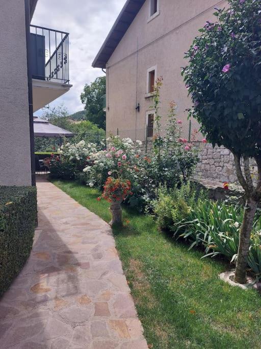 Photo 26