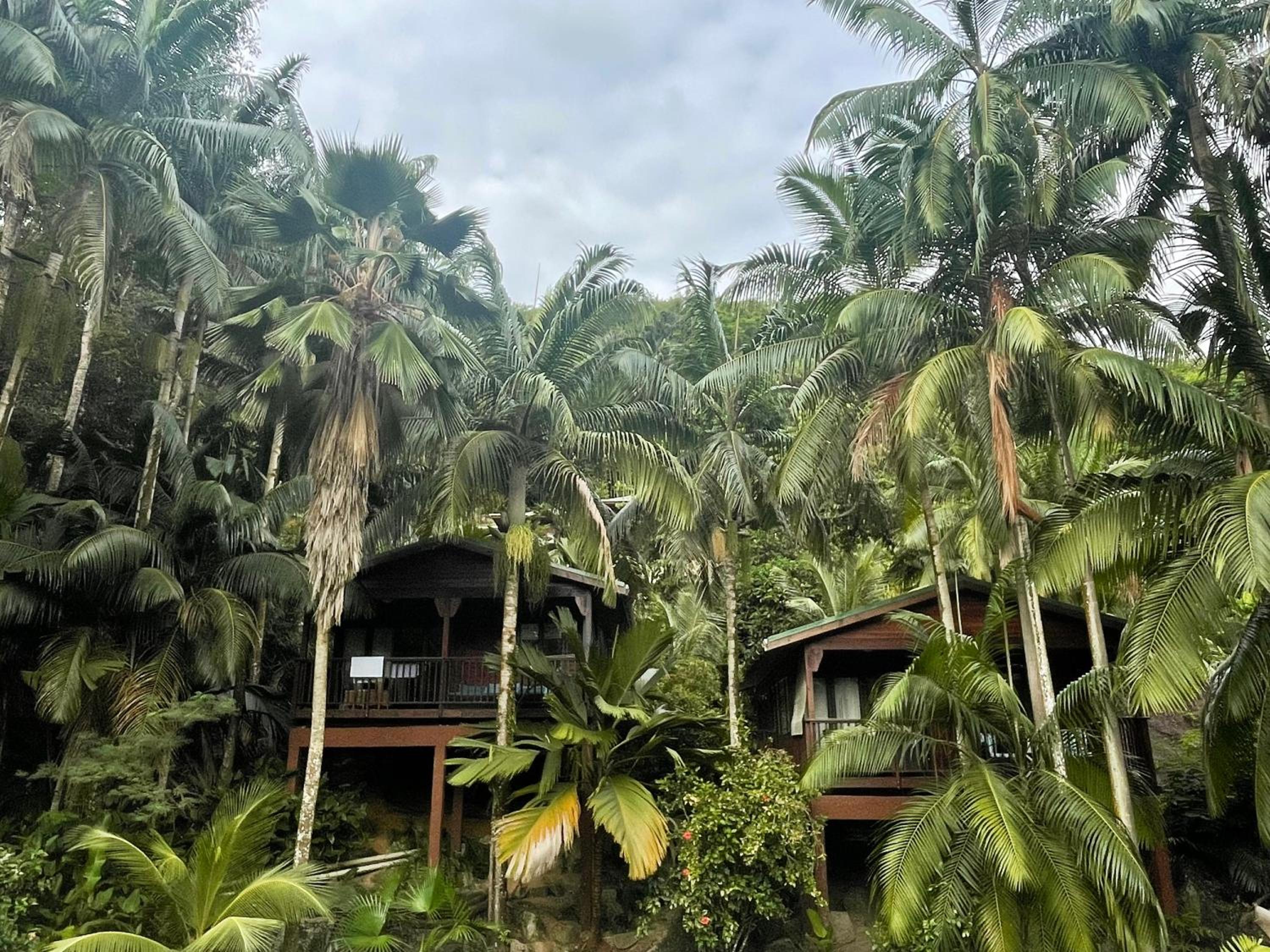 Hillside Retreat photo 4