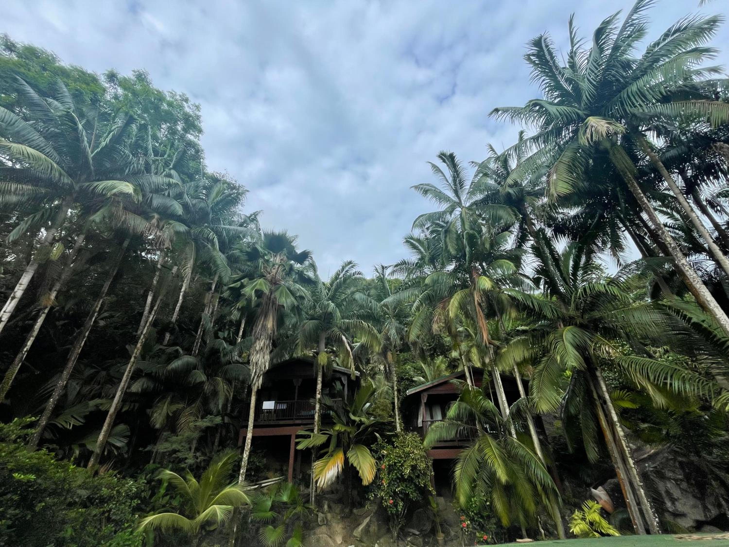 Hillside Retreat photo 5