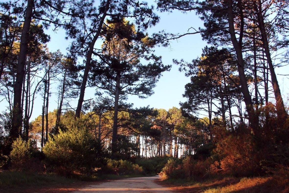 cabaña Sambinha