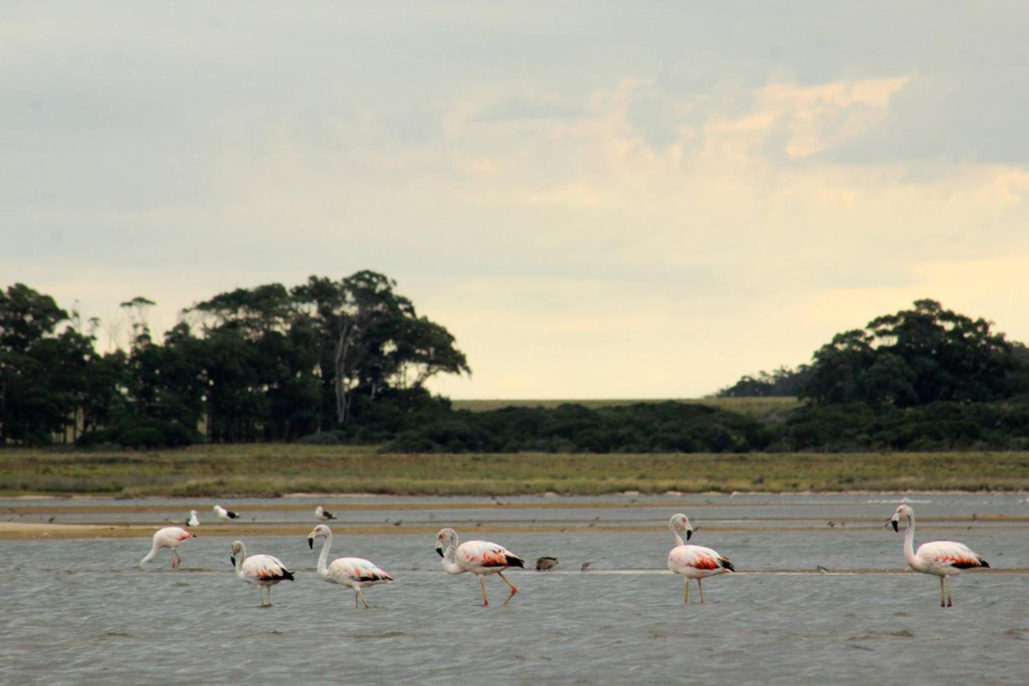 cabaña Sambinha