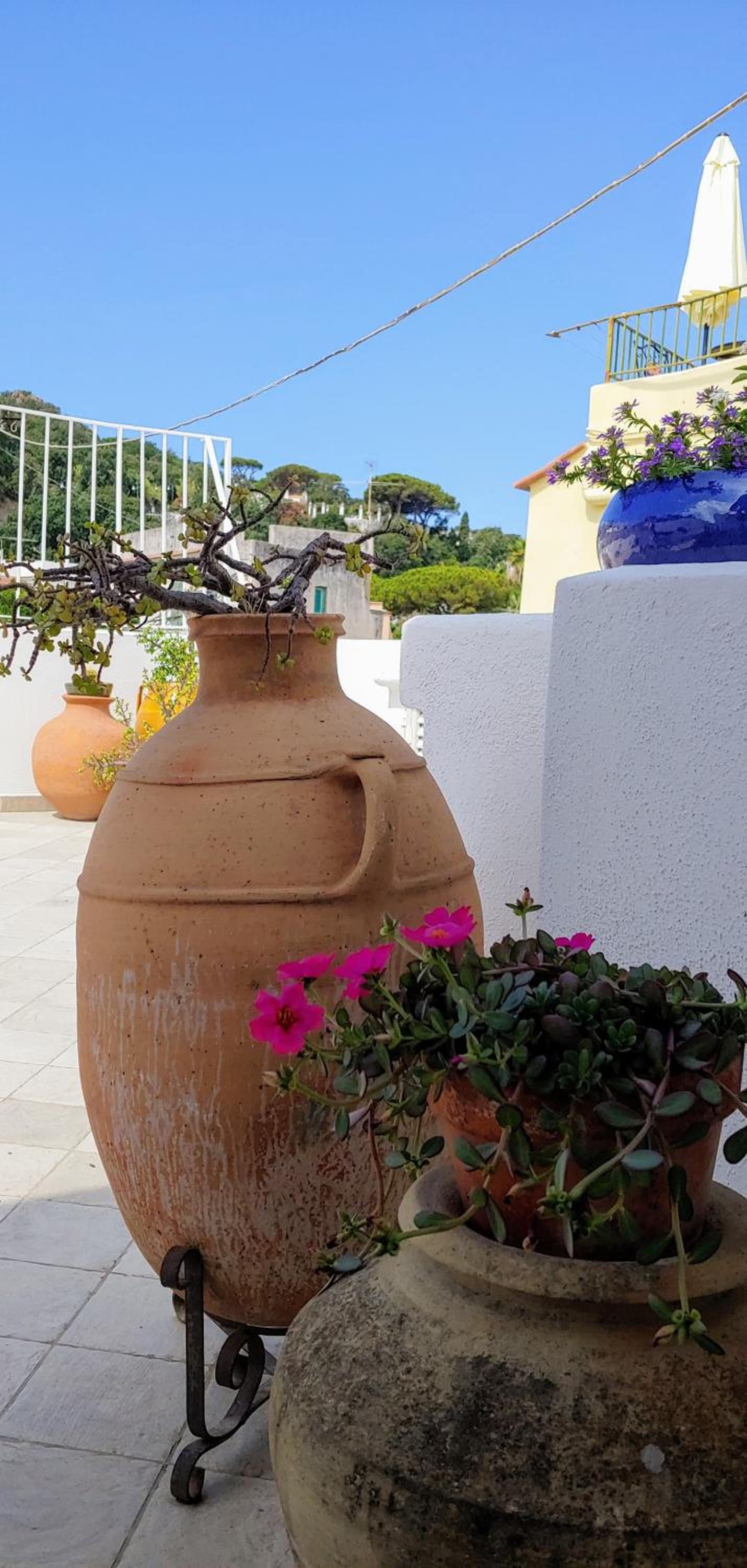 Gigi centralissimo appartamento Ischia Lacco Ameno