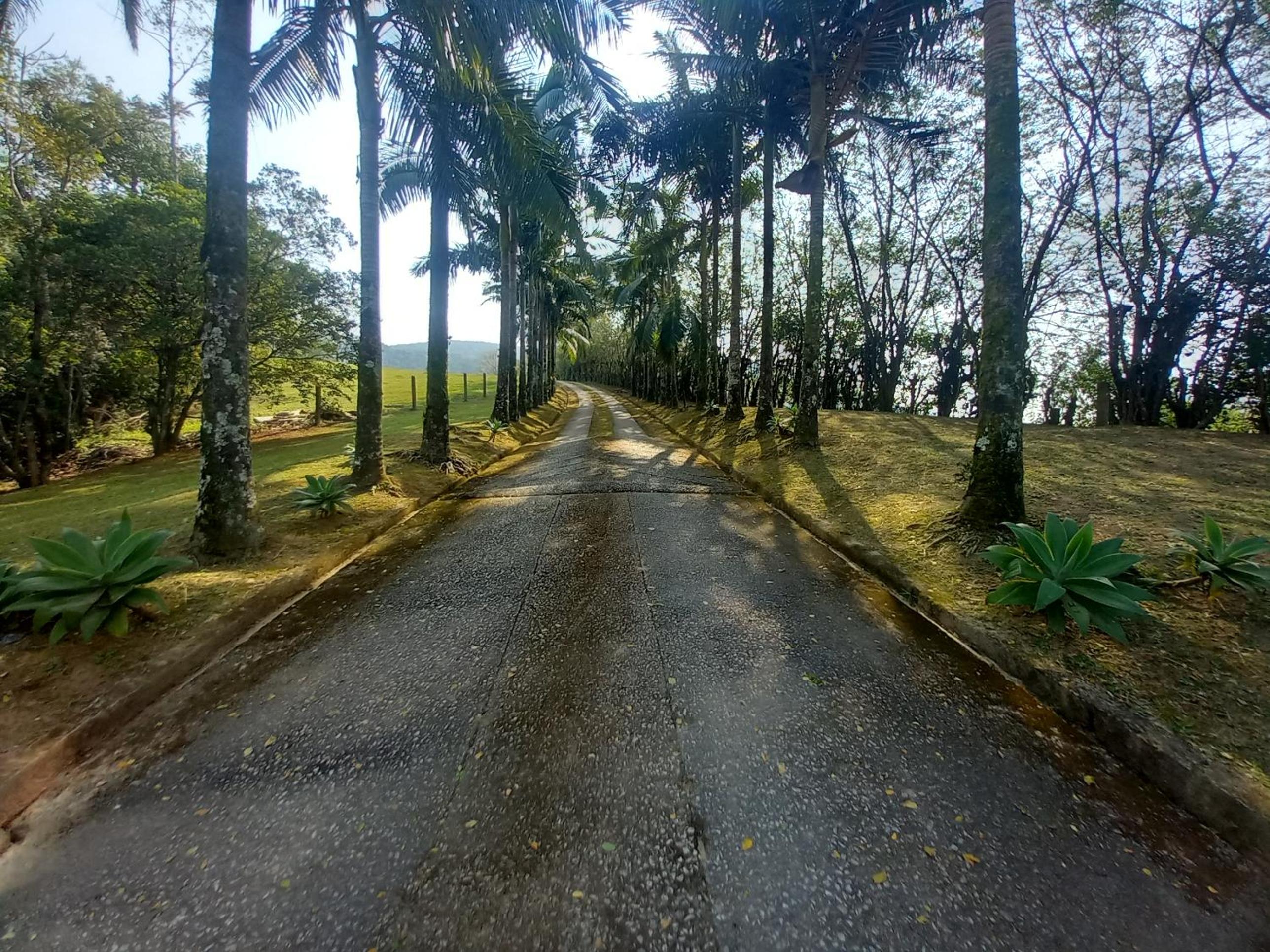 Haras Central do Marchador - Casa de campo