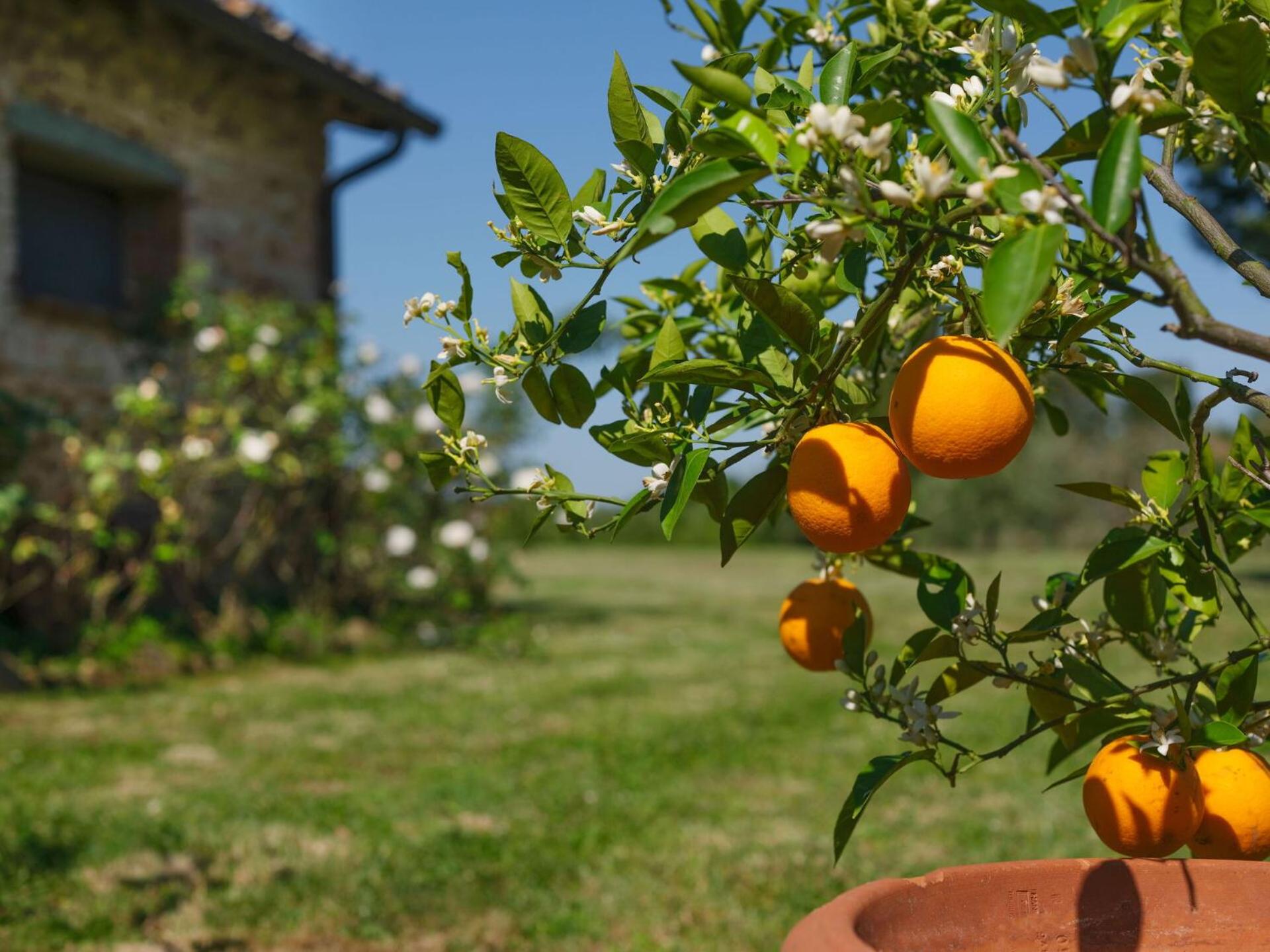 Pozzo Dei Desideri by PosarelliVillas