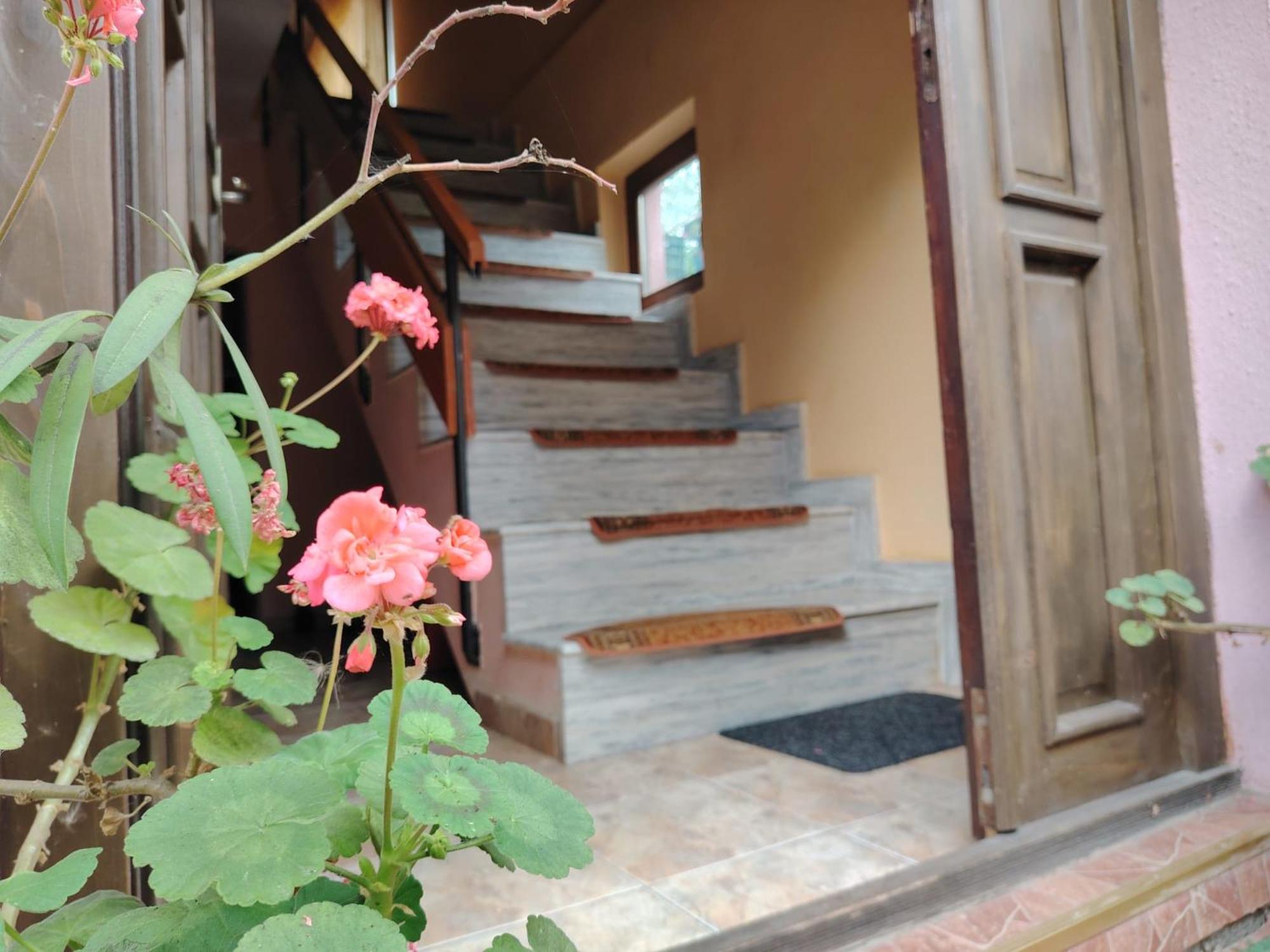 Casa Graur