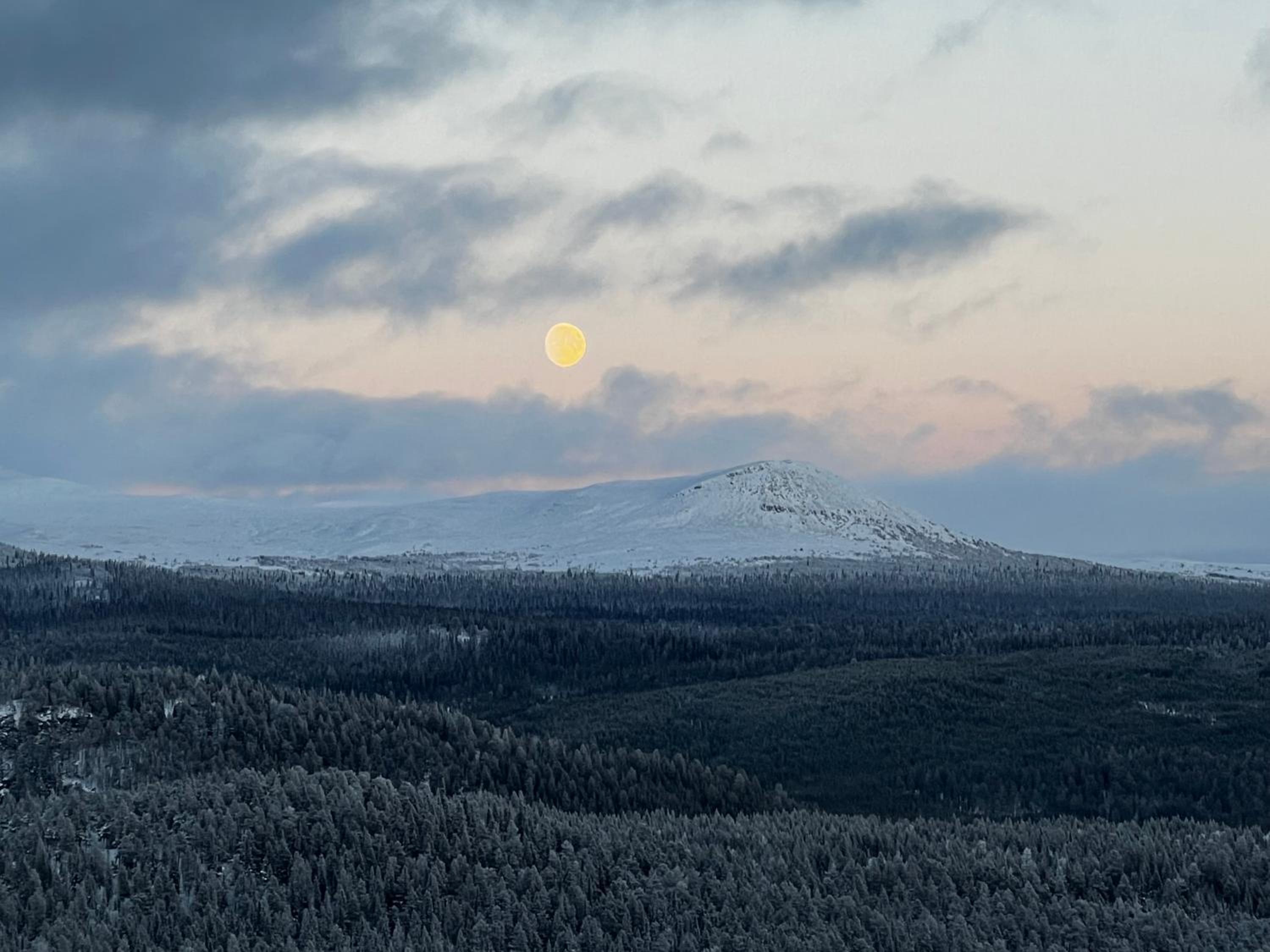 Ljusnedal lägenhet med golf, paddel, fiske och skidåkning view 4