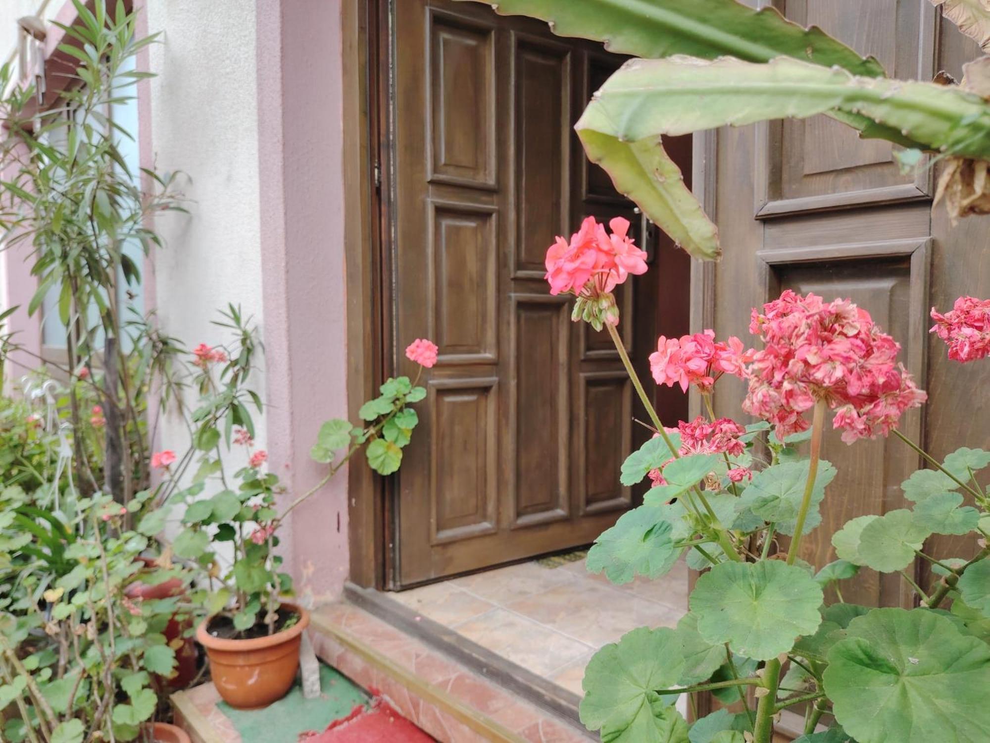 Casa Graur