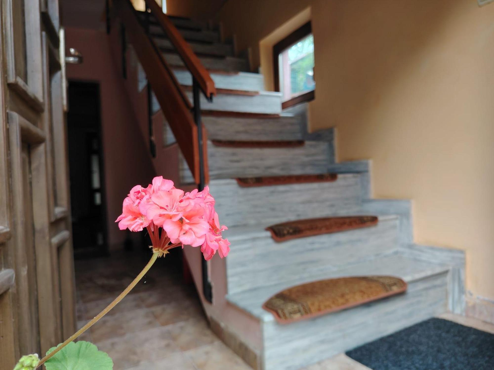 Casa Graur