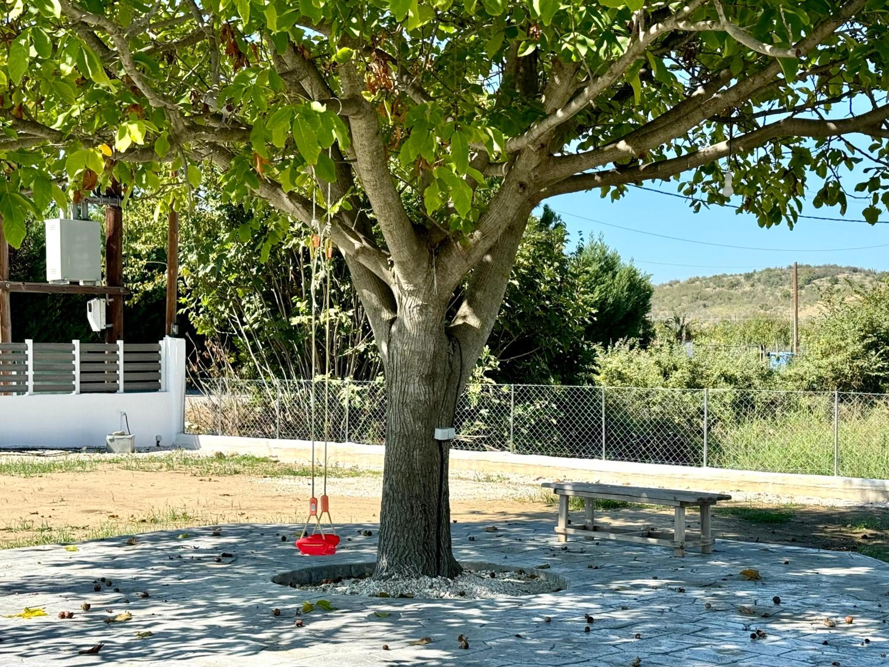 Photo 43