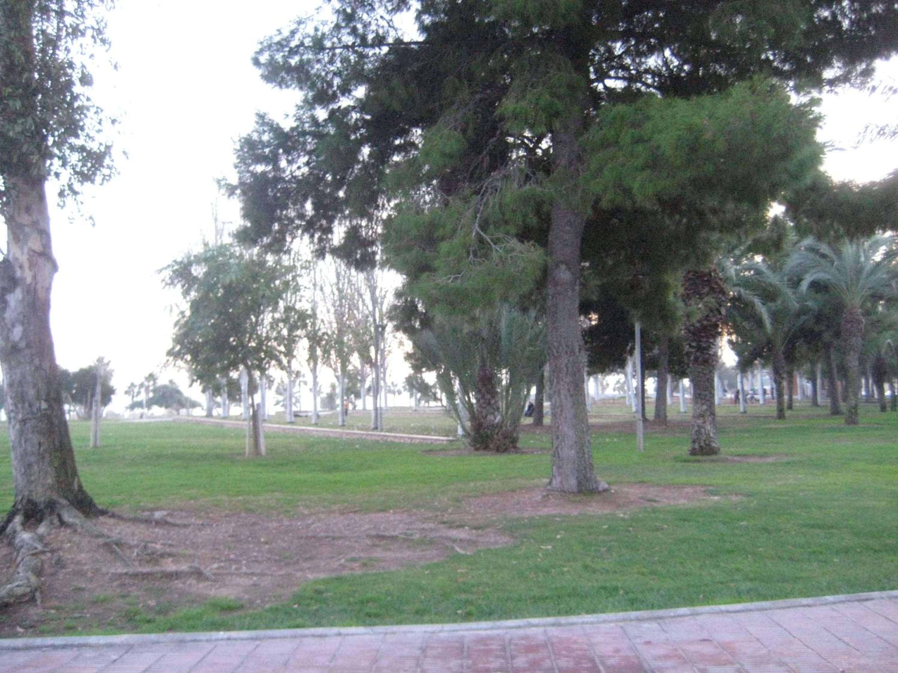 Photo 30