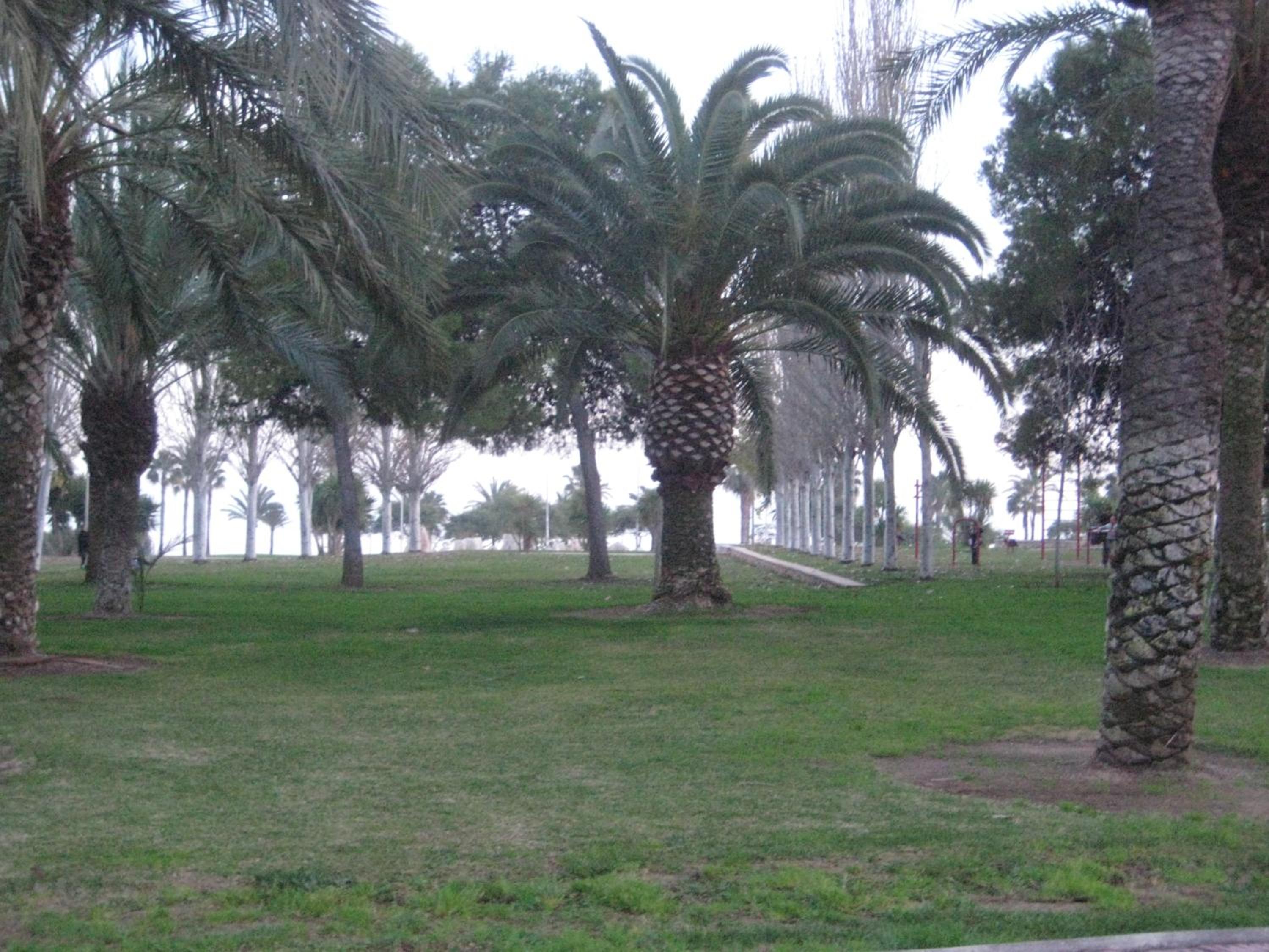 Photo 31